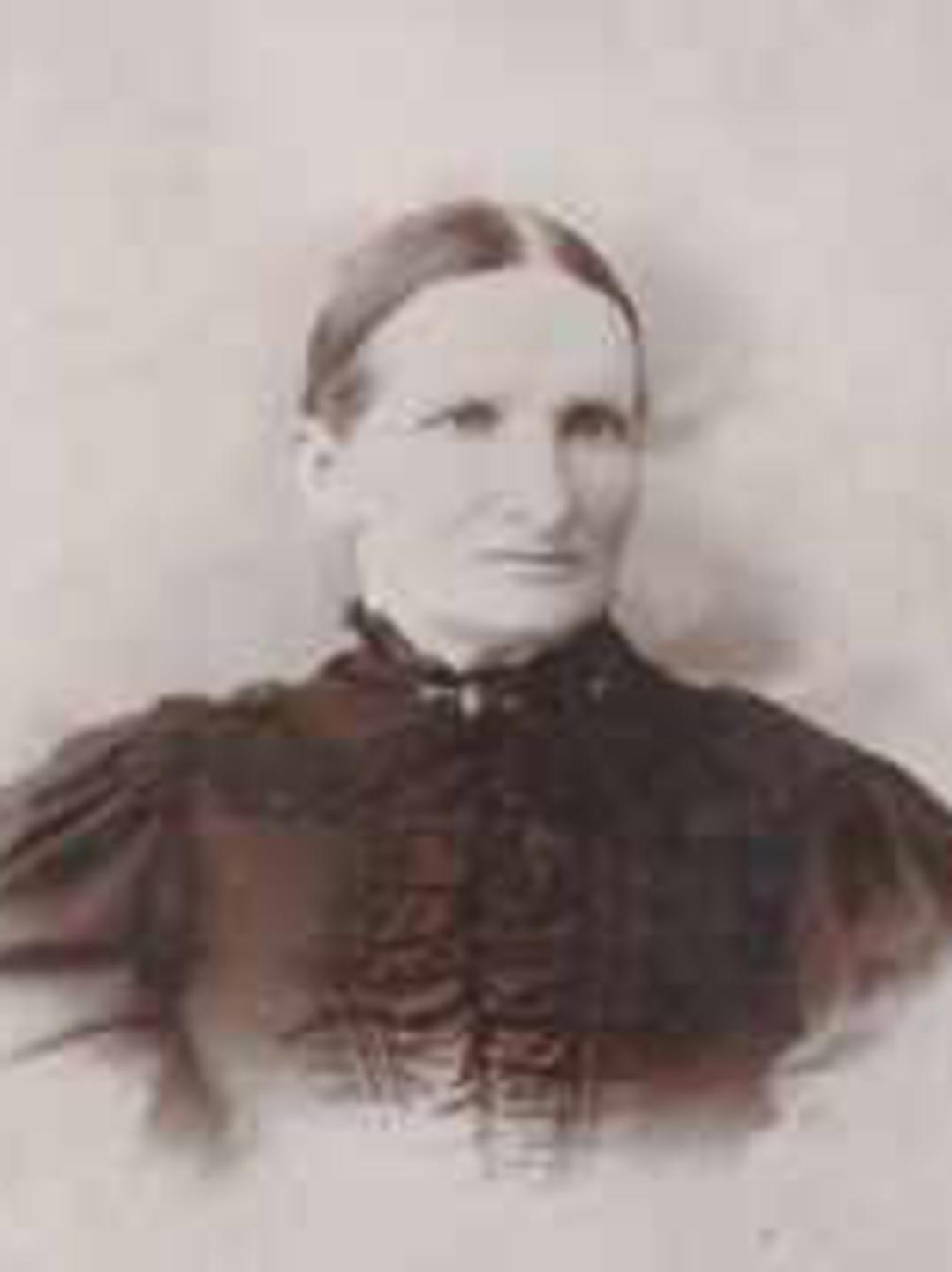 Rachel Taylor (1840 - 1919) Profile